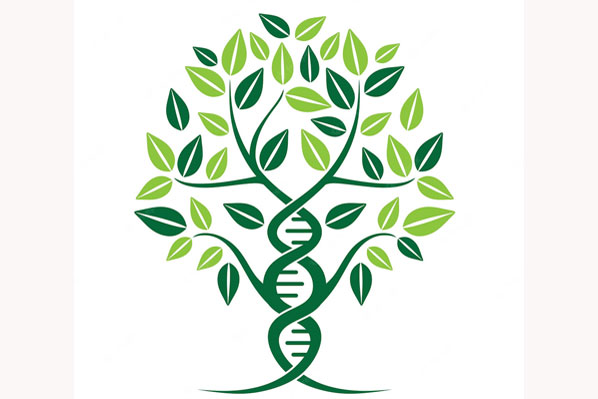 Managing DNA Matches in Family Tree Maker Managing DNA Matches in Family Tree Maker