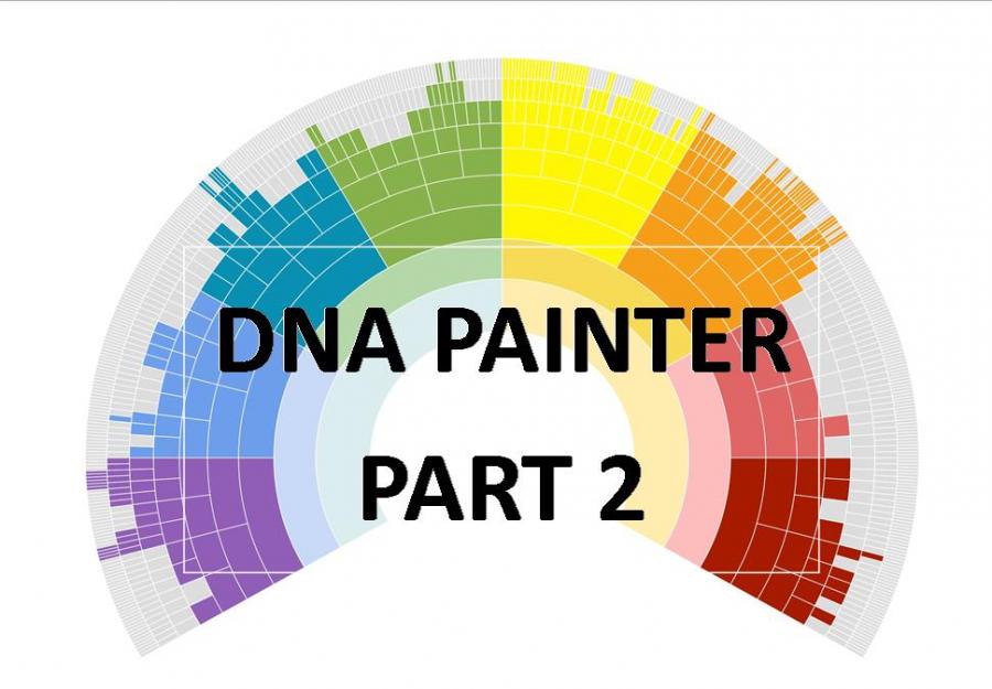 DNA Painter Part 2