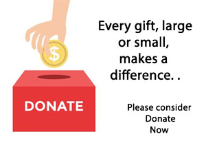 Donation to the GSV