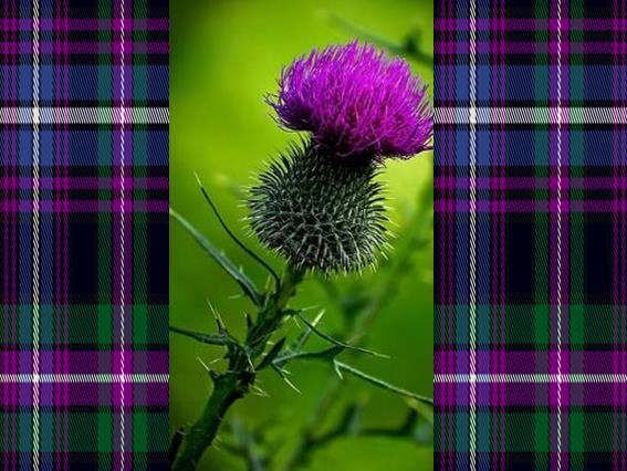 Scotland