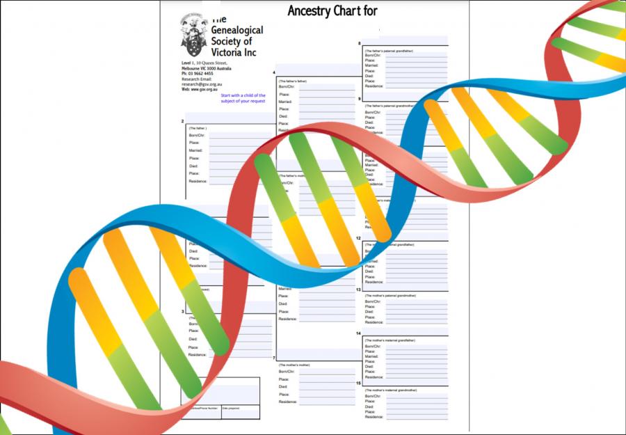 DNA for family history