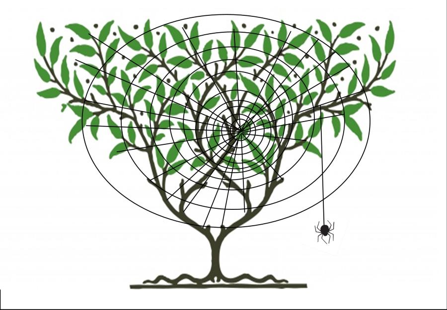 Internet for genealogists