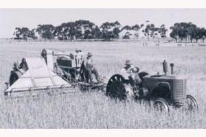 Great War Soldier Settlement And Its Records