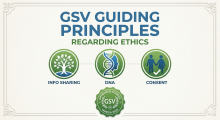 GSV Ethics Policy
